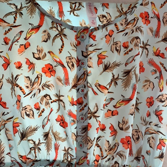 Bird Print Dress - Picture 2 of 3